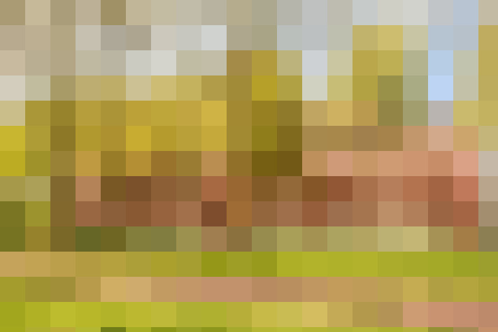 Image 14