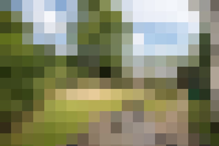 Image 20