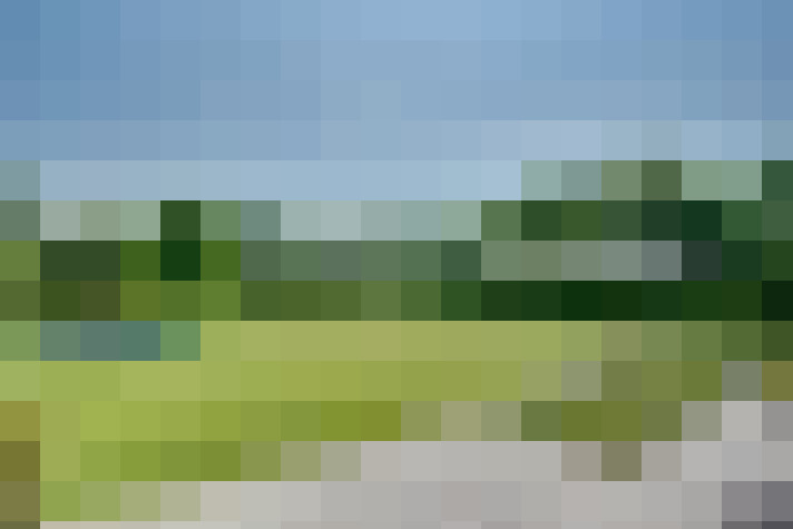Image 45