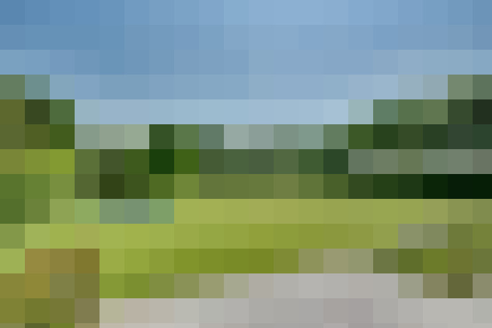 Image 43