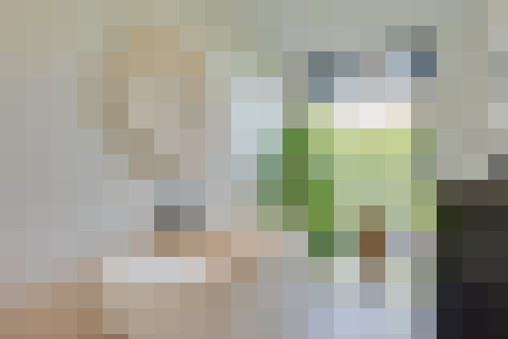 Image 73