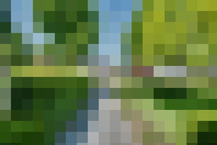 Image 13