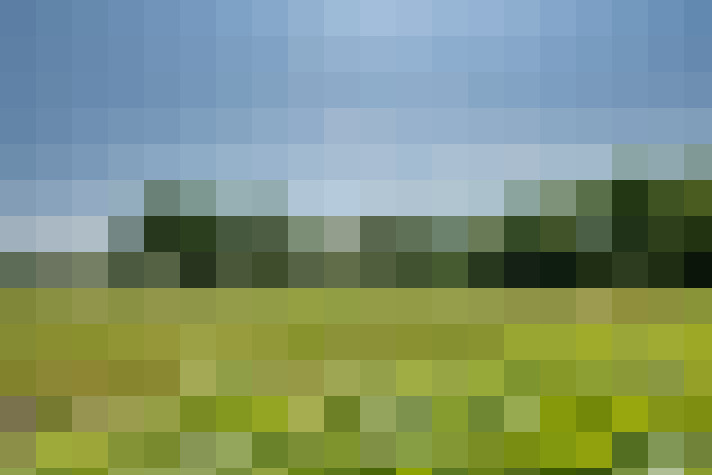 Image 49