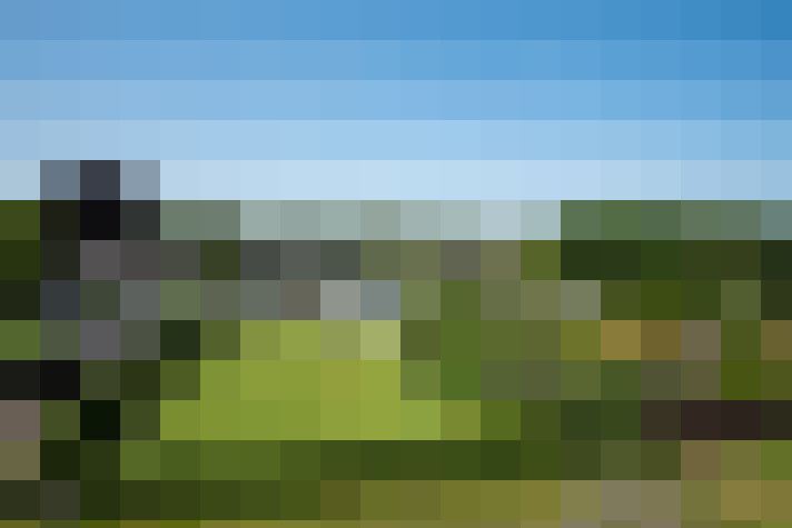 Image 101