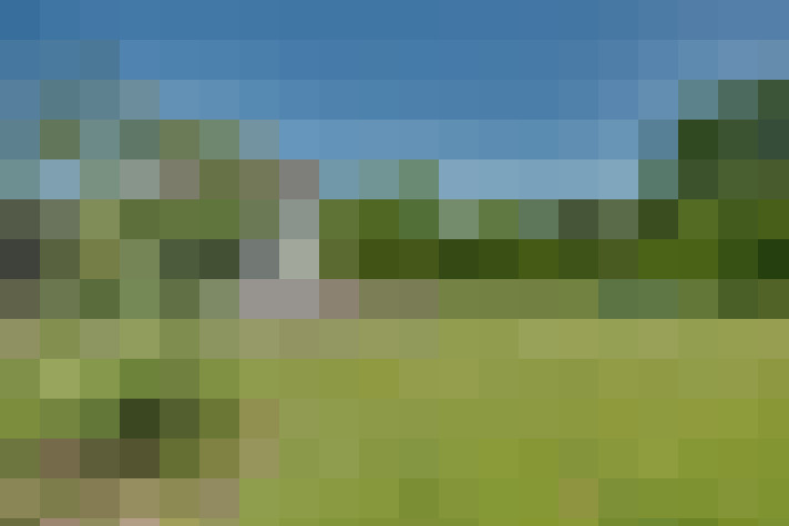 Image 53