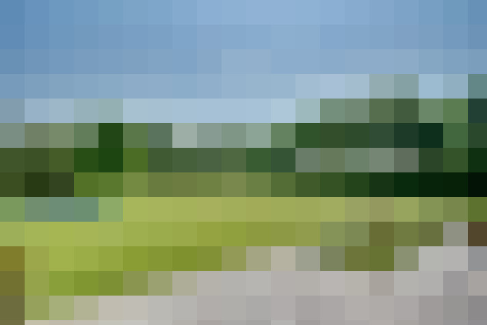 Image 59