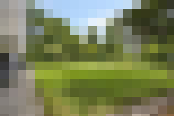 Image 20