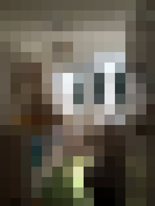 Image 17