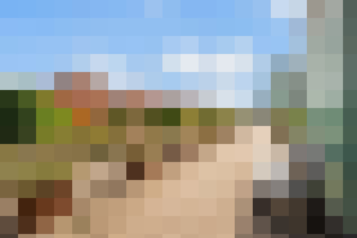 Image 29