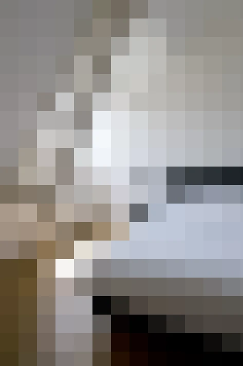 Image 15