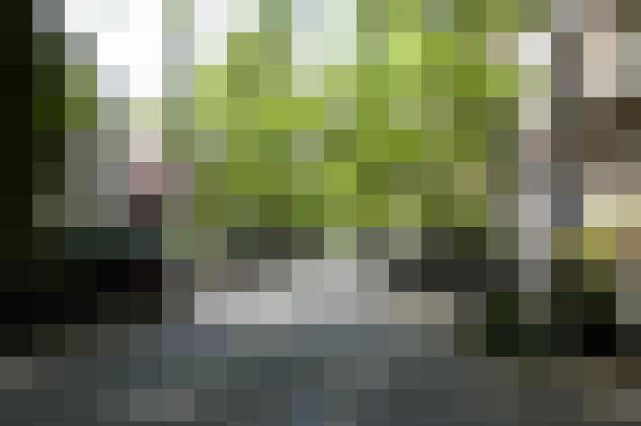 Image 27