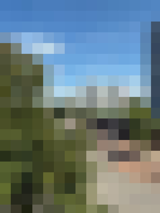 Image 15