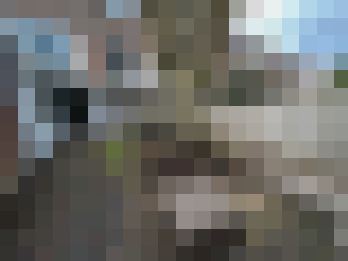 Image 23