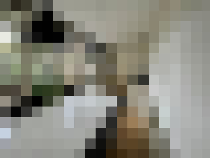 Image 18