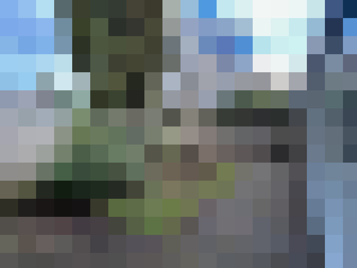 Image 22
