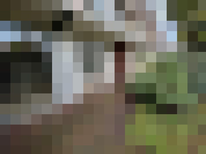 Image 25