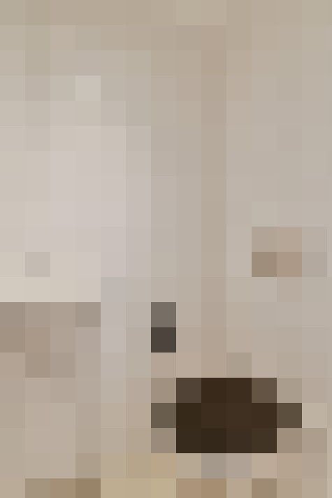 Image 20