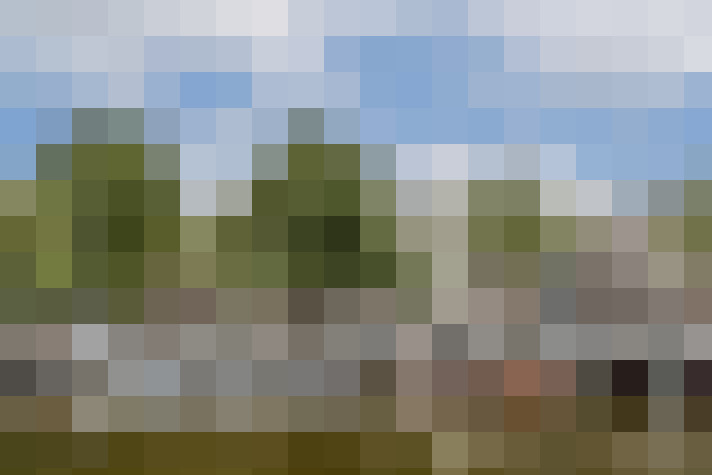 Image 37