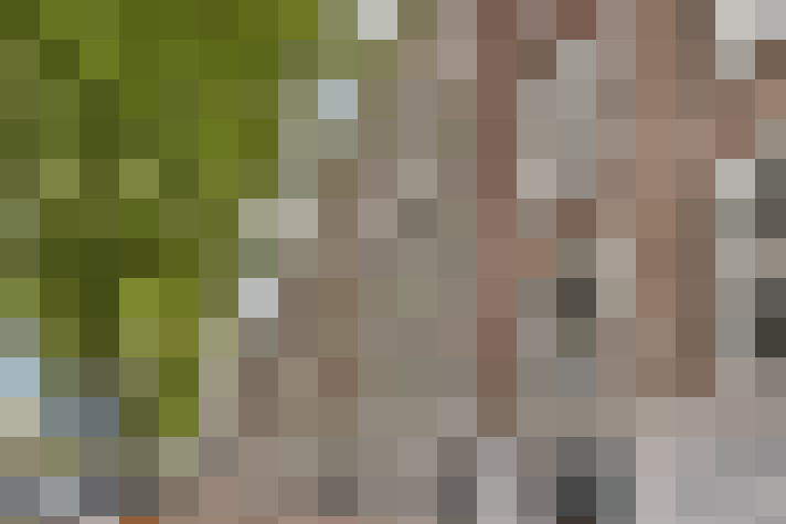 Image 39