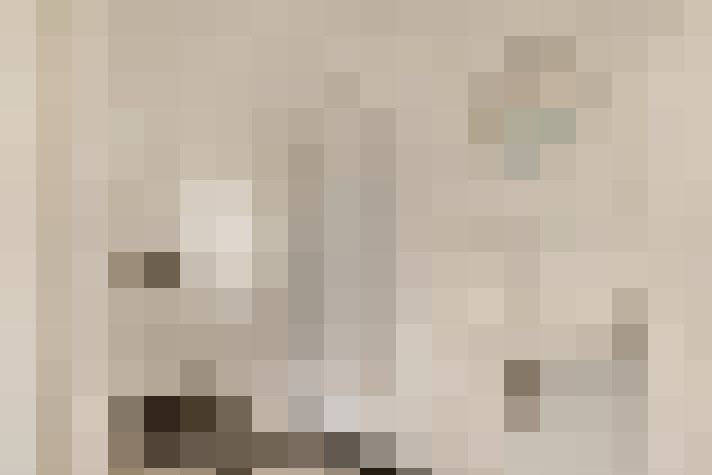 Image 29