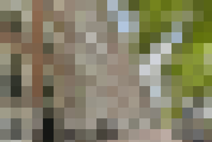 Image 38