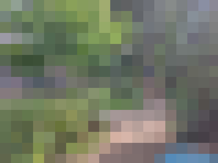 Image 18