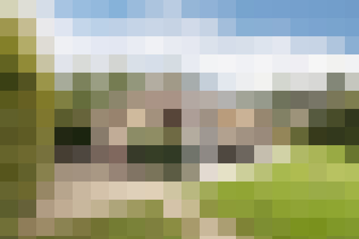 Image 29