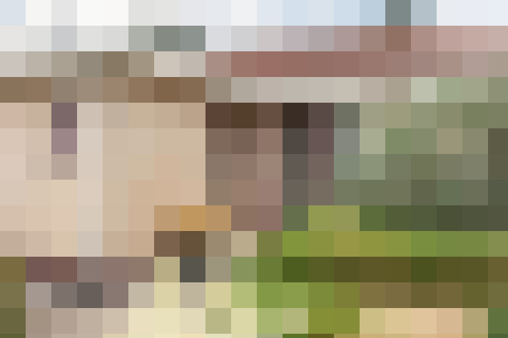 Image 27