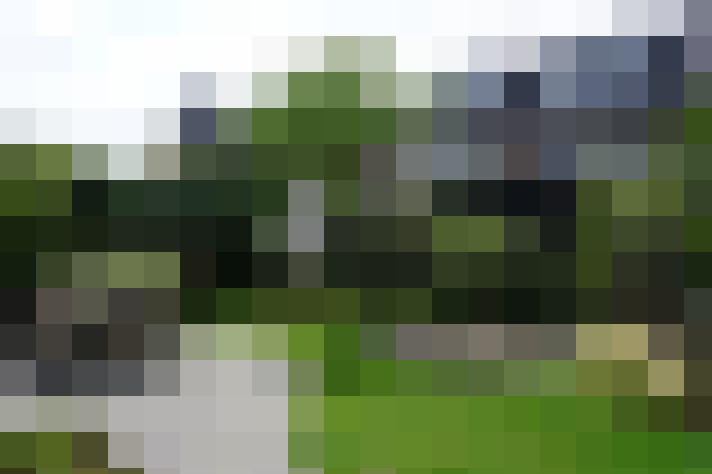 Image 44