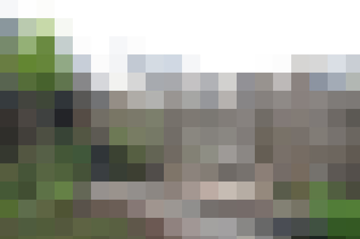 Image 50