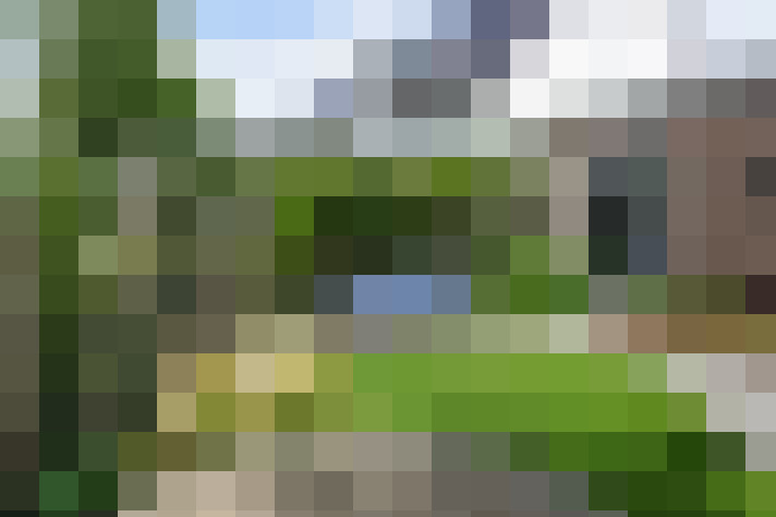 Image 48