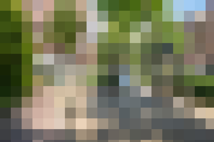 Image 54