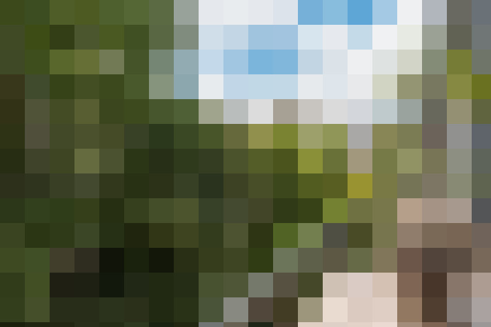 Image 45