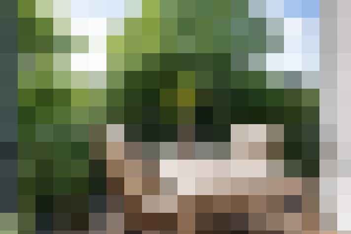 Image 42