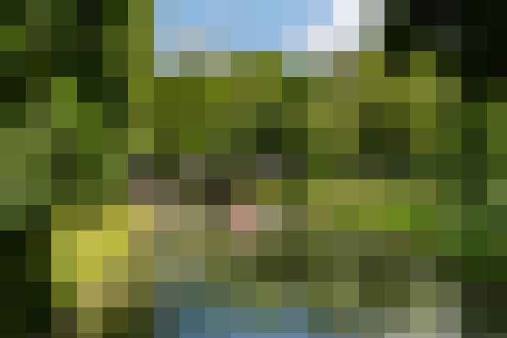 Image 51