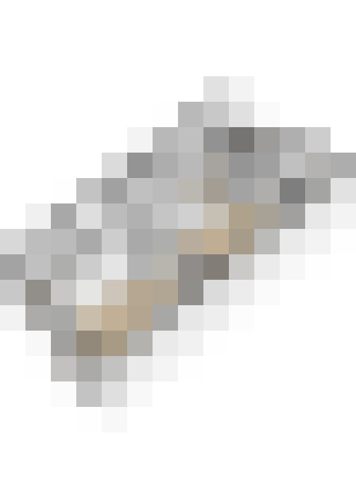 Image 57