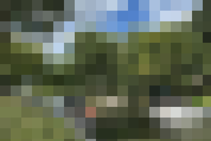 Image 48