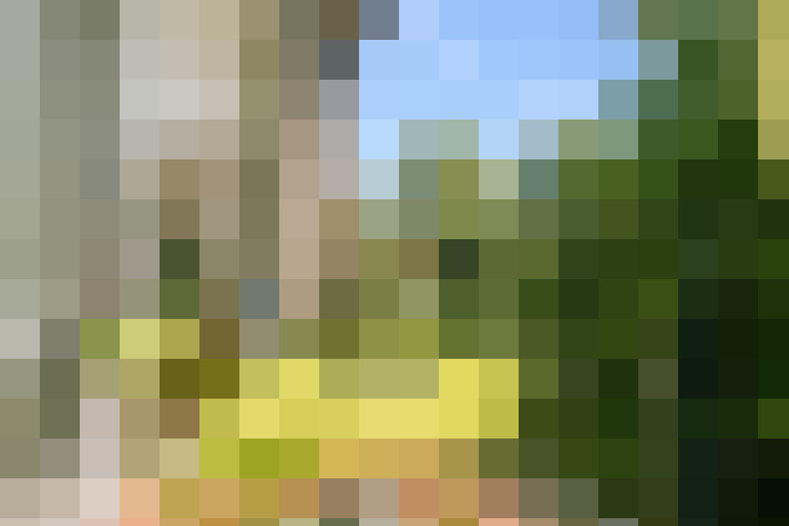 Image 13