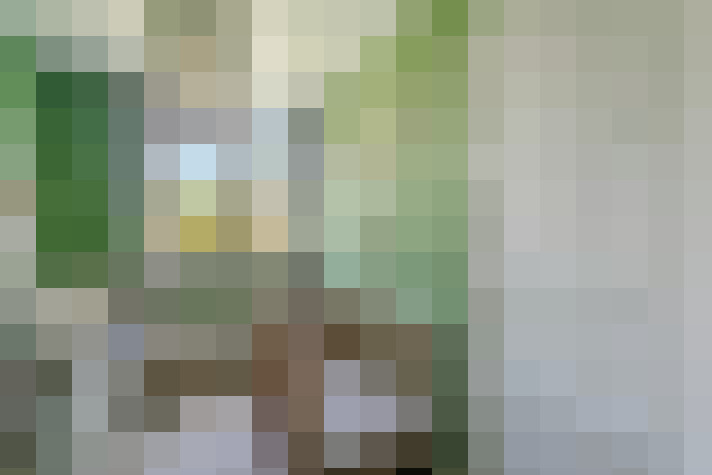 Image 20