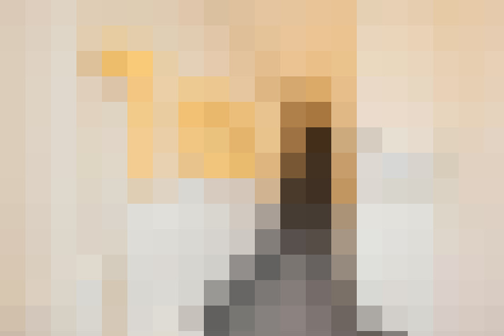 Image 28
