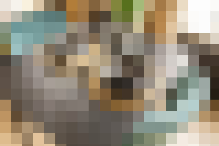 Image 14