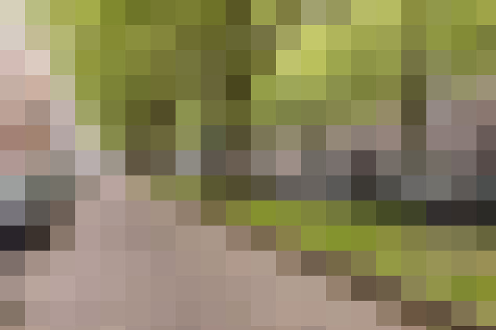 Image 26