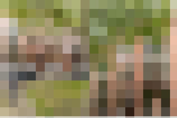 Image 27