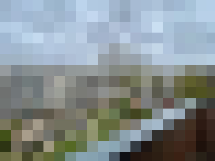 Image 26