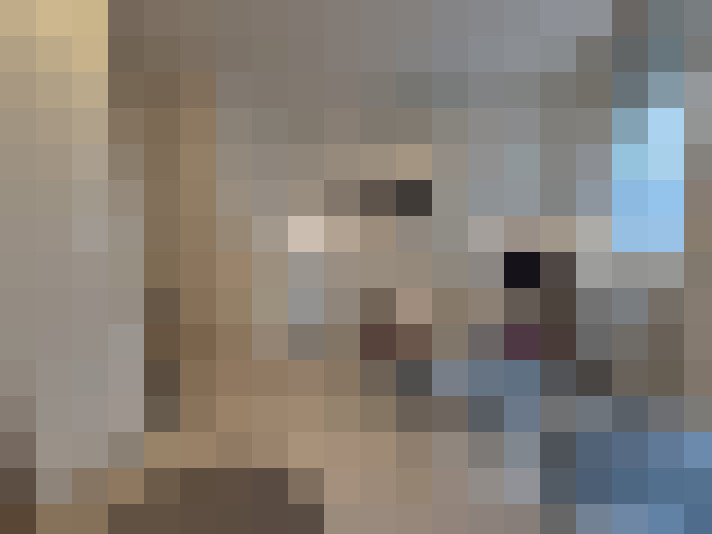  / #17