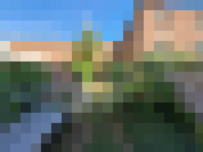  / #7