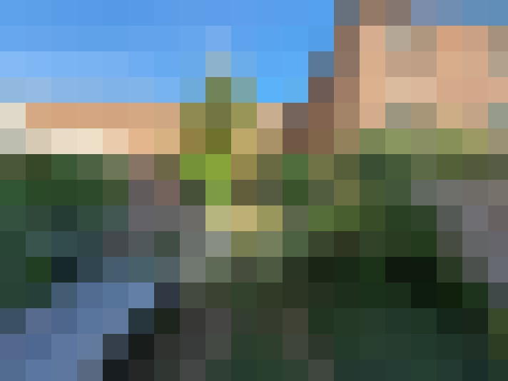  / #8