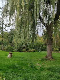 Zimmer in Gerpinnes