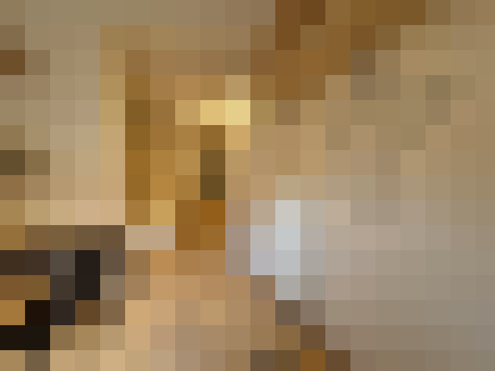  / #11