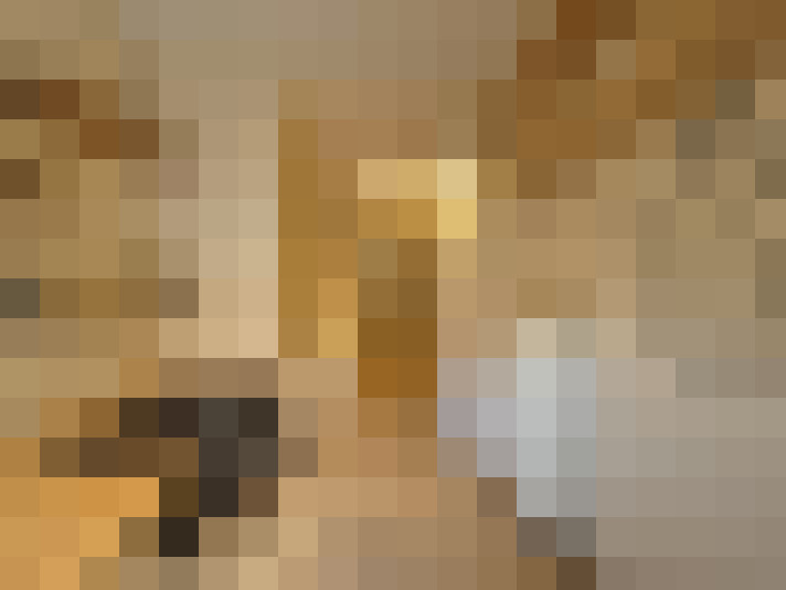  / #14